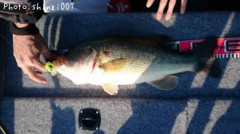 �֥�å��Х�