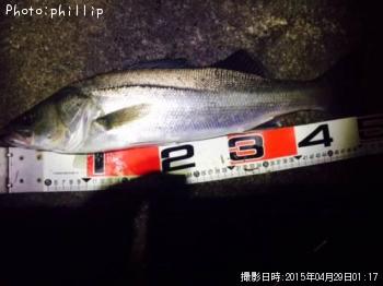 �����Х�