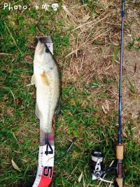 �֥�å��Х�