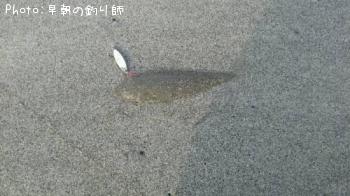 �����ӥ��