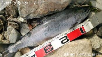 ������ޥ�