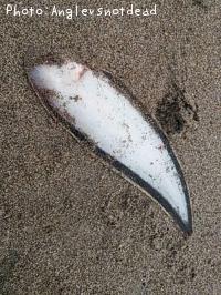 �����Υ���