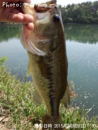 �֥�å��Х�