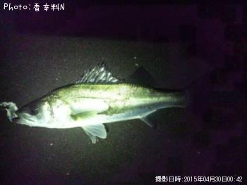 �����Х�