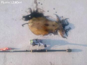 �����ꥤ��