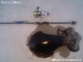 �����ꥤ��