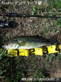 �֥�å��Х�