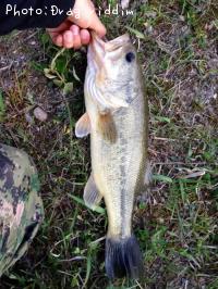 ¥Ö¥é¥Ã¥¯¥Ð¥¹