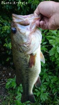 �֥�å��Х�