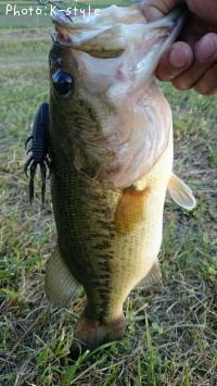 �֥�å��Х�