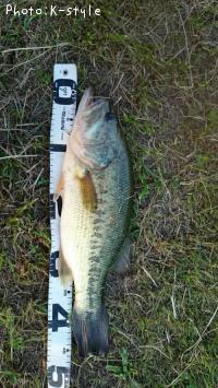 �֥�å��Х�