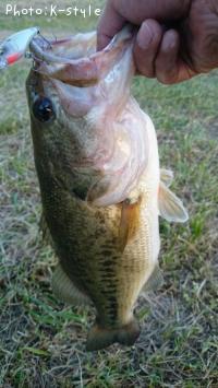 �֥�å��Х�