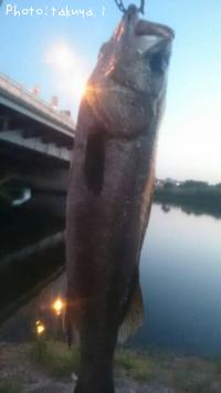 �����Х�