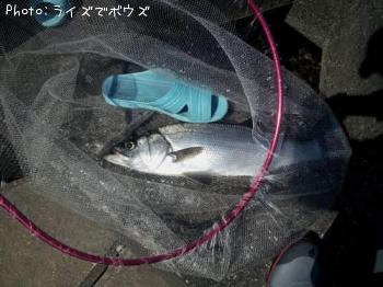 �ҥ饹����