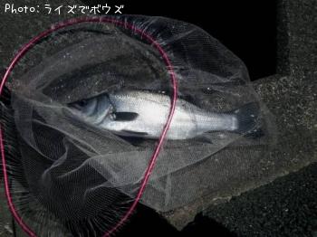 �ҥ饹����