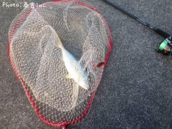 ��ʪ�ʾ���