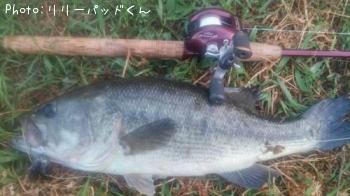 �£̣��ãˡ����£��ӣ�