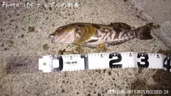 �����ʥ�