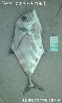 ���ȥҥ�����