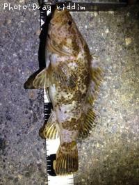 ¥¿¥±¥Î¥³¥á¥Ð¥ë