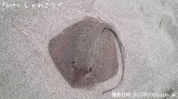 ¥¨¥¤¡õÀåÊ¿ÌÜ