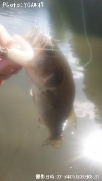 ¥Ö¥é¥Ã¥¯¥Ð¥¹