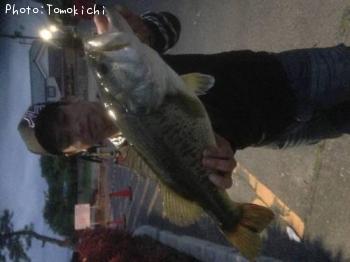 �֥�å��Х�