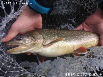 �쥤���ȥ饦��