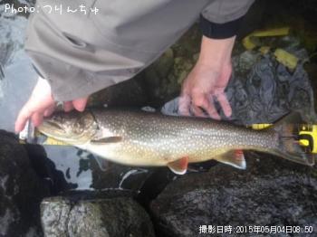 �쥤���ȥ饦��