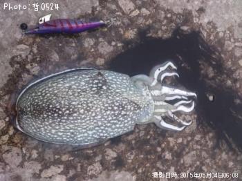 ¥·¥ê¥ä¥±¥¤¥«