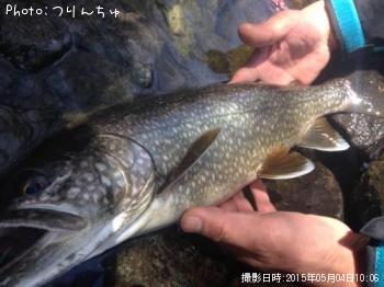 �쥤���ȥ饦��