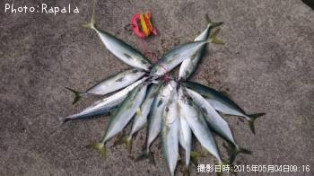 ���ʥ�����