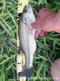 �֥�å��Х�