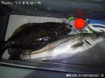 ¥·¡¼¥Ð¥¹¡¢¥Ò¥é¥á