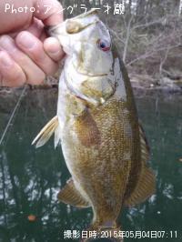 ¥¹¥â¡¼¥ë¥Þ¥¦¥¹¥Ð¥¹