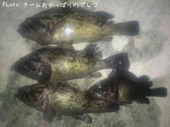 �ޥ�������������