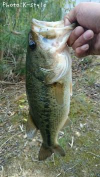 �֥�å��Х�