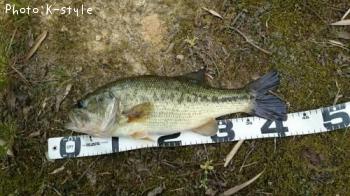 �֥�å��Х�