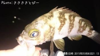 ��������Х�