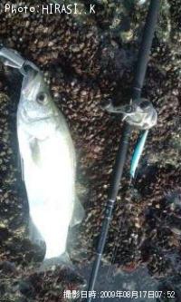 �ҥ饹����