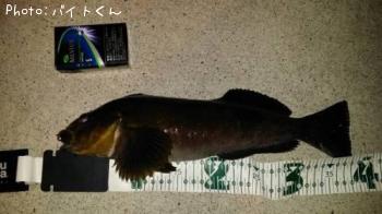 �����ʥ�