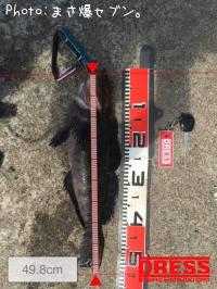 �����ʥ�