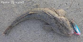 �ޥ���