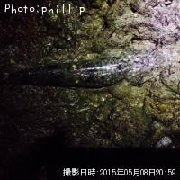 �ޥ���