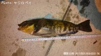 �����ʥ�