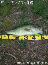 �֥�å��Х�