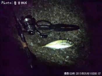 ¥¢¥¸