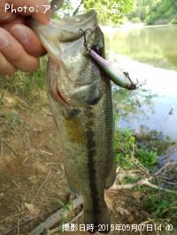 �֥�å��Х�