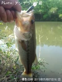 �֥�å��Х�