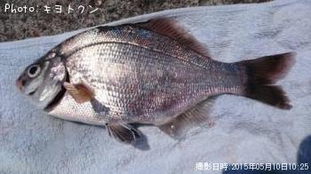 ¤¦¤ß¤¿¤Ê¤´